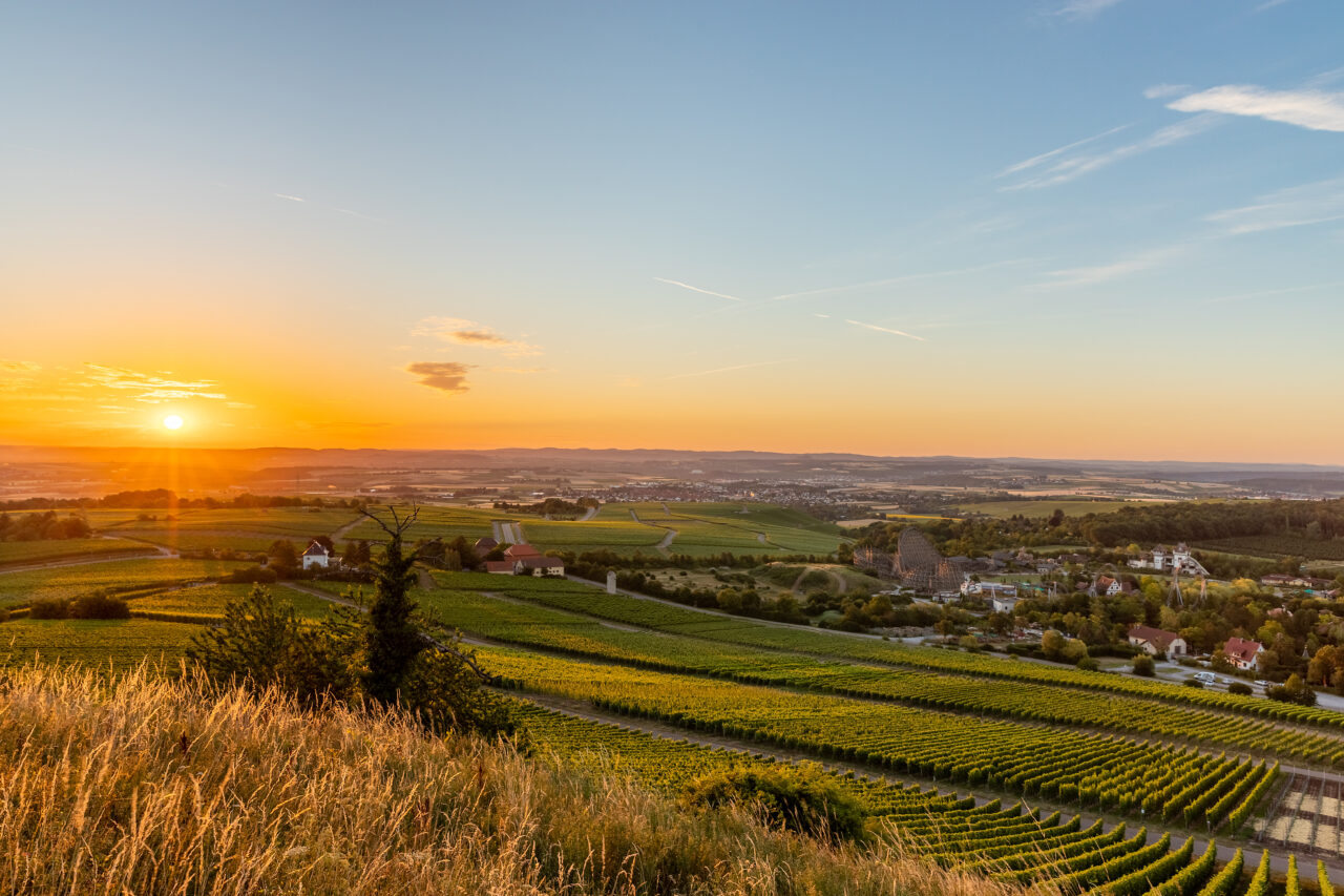Sonnenuntergang in der Reblandschaft in Cleebronn