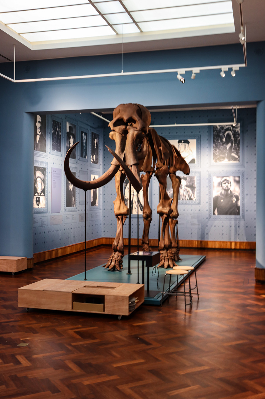 Stadsmuseum2 Lier