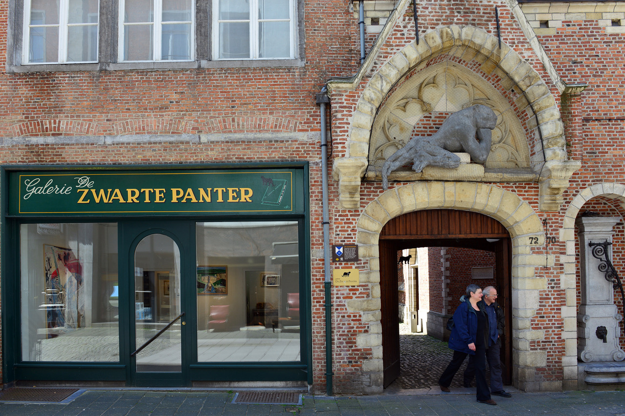 webversie-De-Zwarte-Panter03