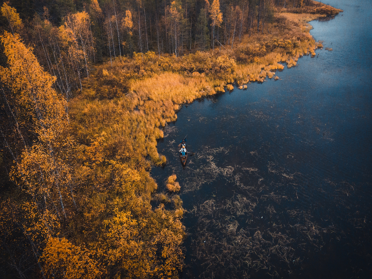 Ruska In Fins Lapland Natuurreis In Dromerige Kleuren June A Travel Ruska In Fins Lapland Natuurreis In Dromerige Kleuren June A Travel