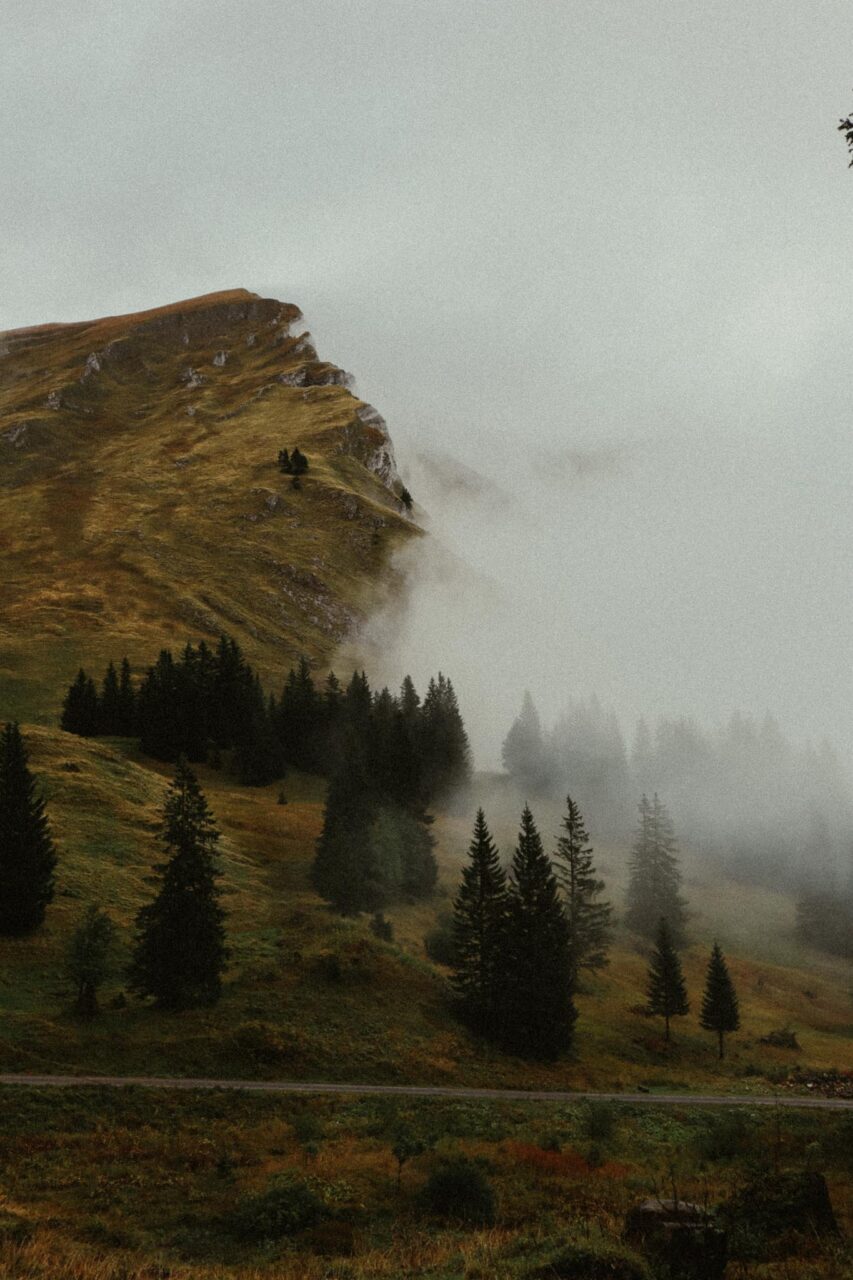 Bregenzerwald_Alpen_nature