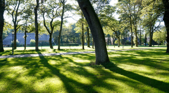 Drenthe
