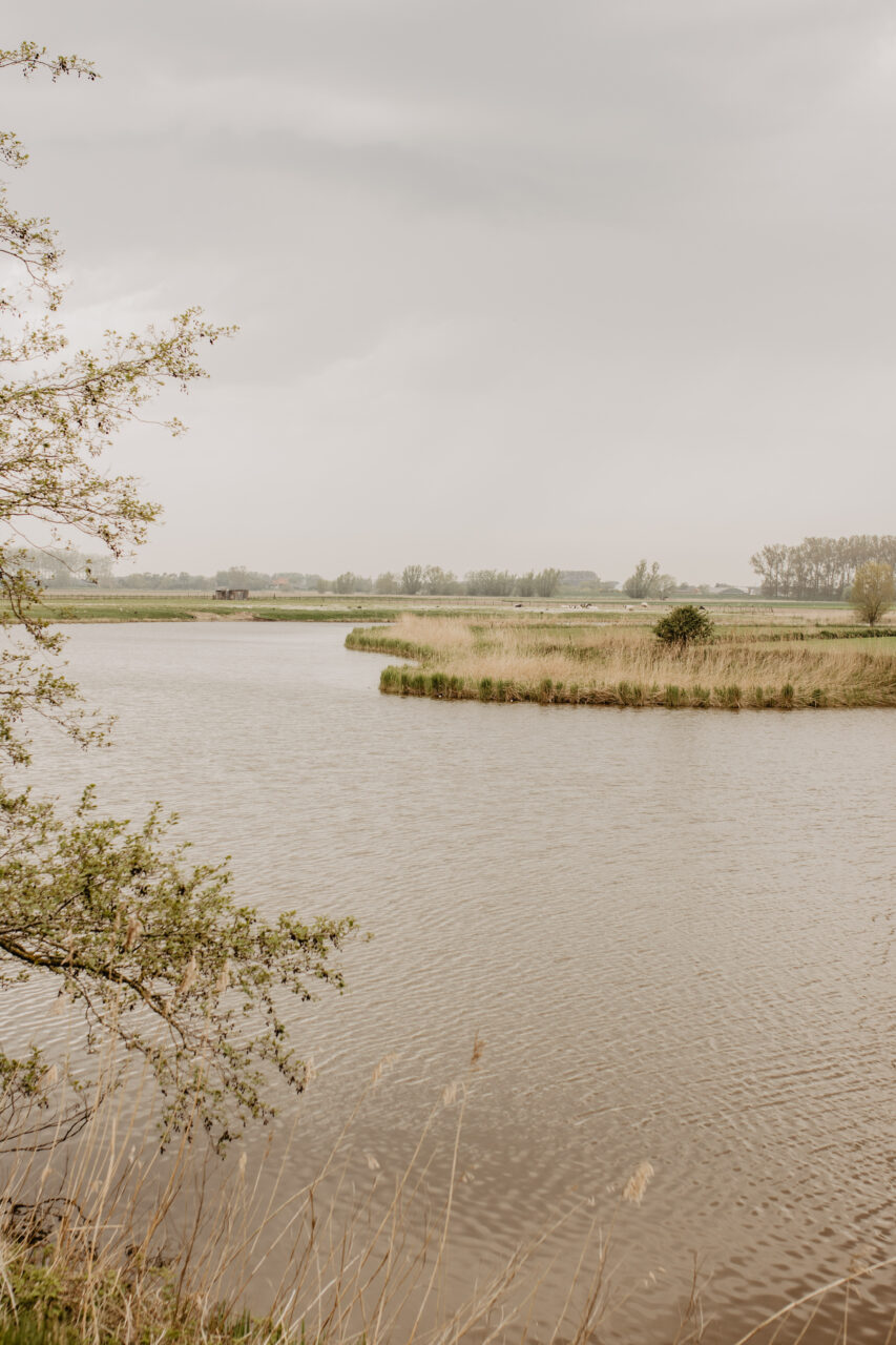 stil1826_169714147_2024-06-09 polders_stil1827_meetjesland_2