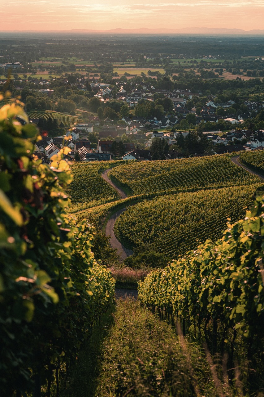 Baden-Baden